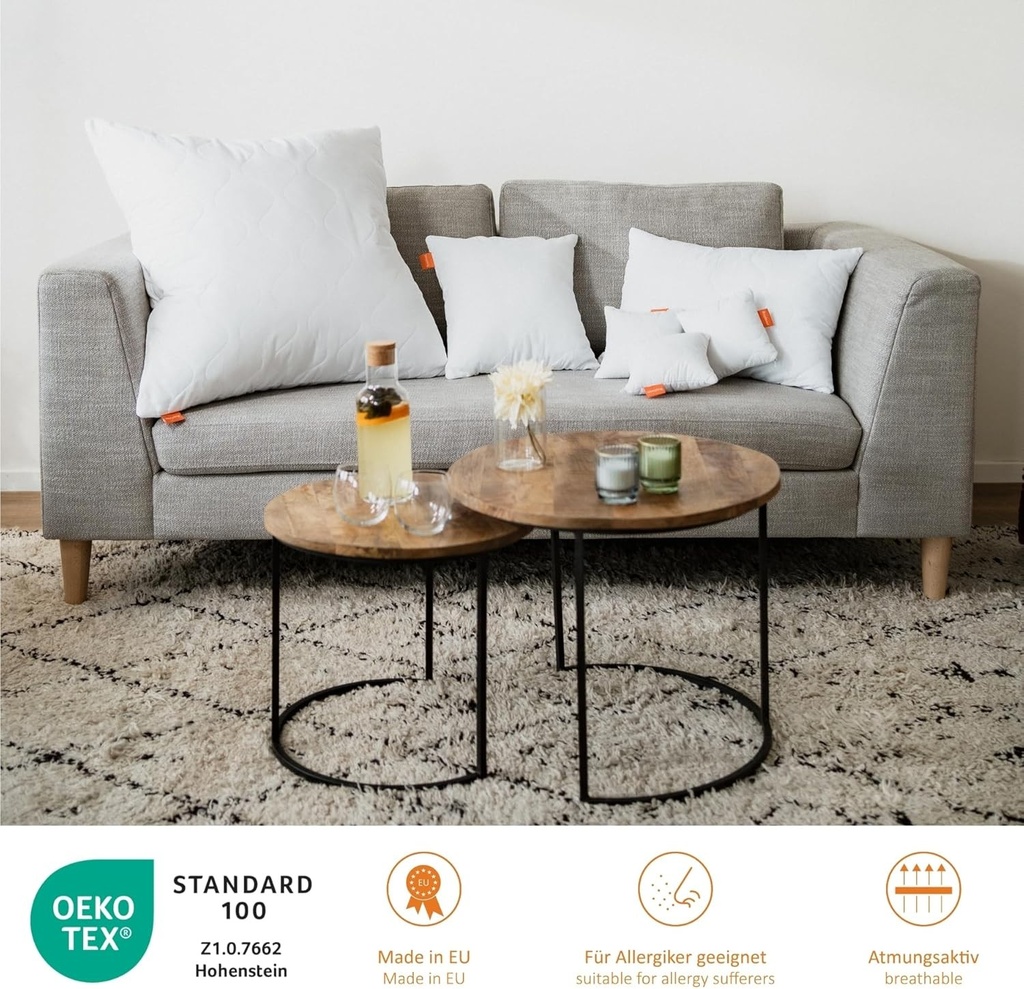 Perna de dormit 40x40 cm, perna canapea, umplutura perna, perna decorativa pentru persoane alergice, umplutura perna decorativa 40 x 40, certificata Oeko-Tex, lavabila pana la 60 de grade, fabricata in UE, Basic 100