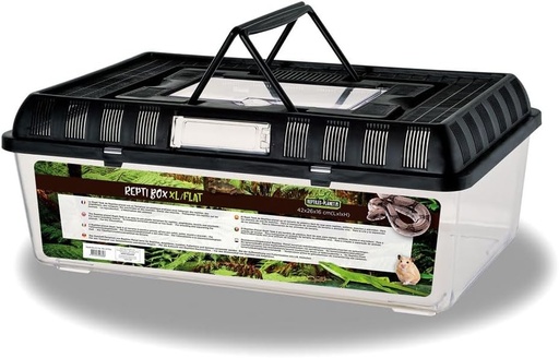 Reptiles Planet - Repti Box XL - Cutie de transport din plastic cu capac detasabil - 42 x 26 x 16 cm