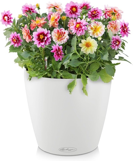 LECHUZA CLASSICO Culoare 18 alb 13261, 19x19x17 cm