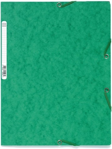 Exacompta 55503E - Dosar cu elastic, A4, verde