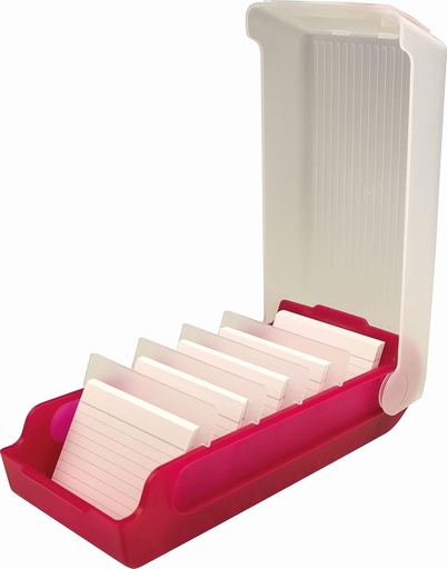 helit H6901025 - Cutie pentru fisa ,,the beebox" DIN A8 peisaj, zmeura, flashcard si cutie de depozitare